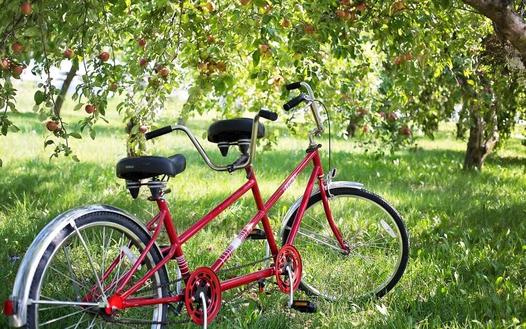 Tandem – nicht nur zum Radfahren, sondern auch zum Sprachenlernen (: