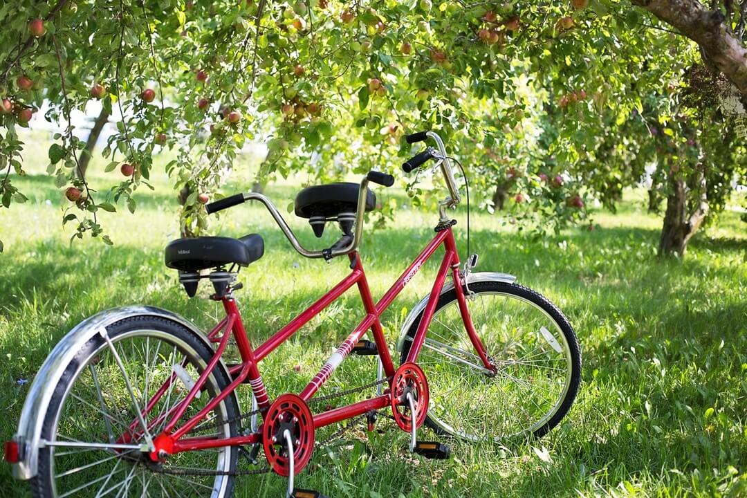 Foto eines Tandemfahrrads in der Natur